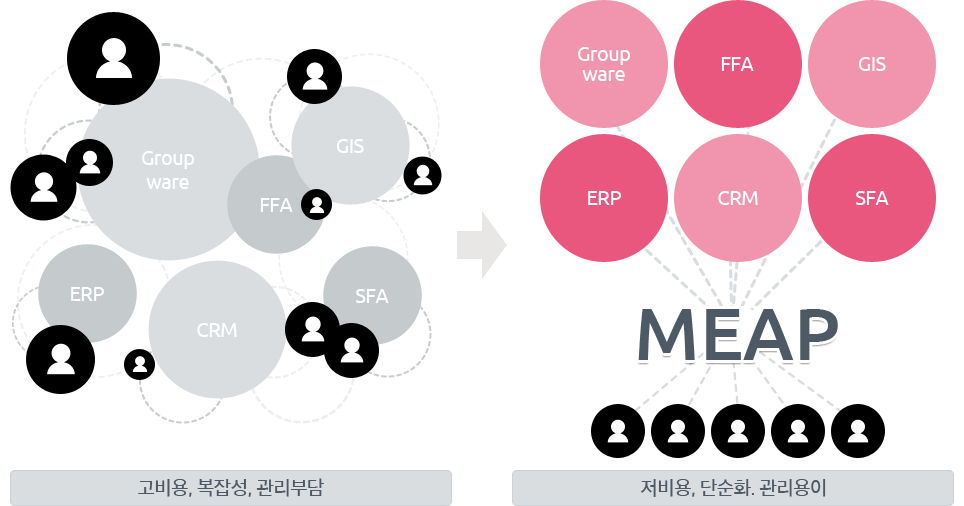 고비용, 복잡성, 관리부담 → MEAP: 저비용, 단순화, 관리용이